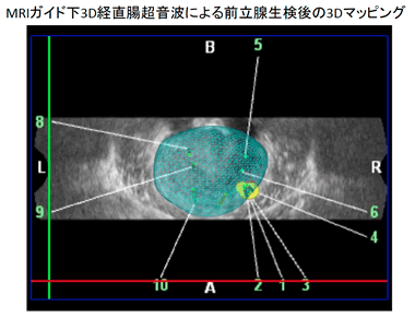 小児科